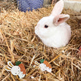 Last inn bildet i Gallery Viewer, Glitterkanin - Den lille prikken over i'en
